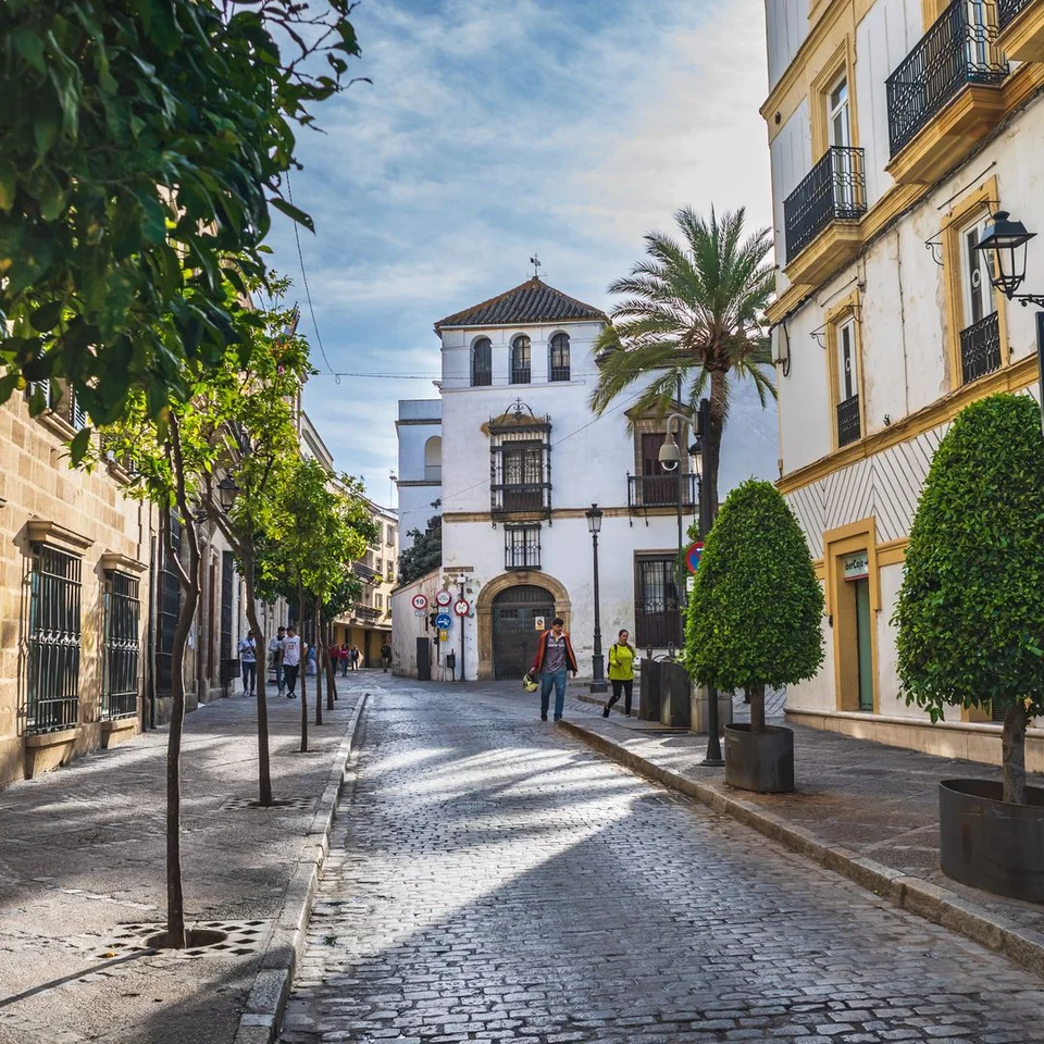 97c2a94c6dbc-adobestock307815858
